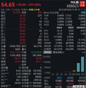 长鑫科技,盘中暴涨530%
